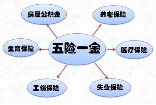 五险缴费的基本构成与计算原理