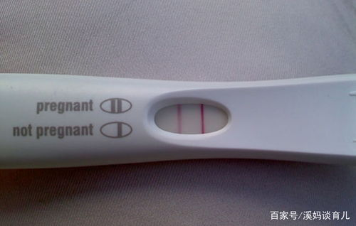 验孕棒价格范围及影响因素