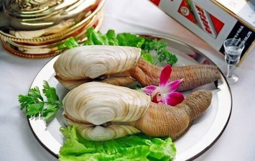 象拔蚌市场价格波动分析