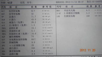 肝功能检查的基本概念与必要性