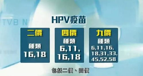 9价HPV疫苗价格概述