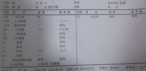 白带常规检查的基本费用构成