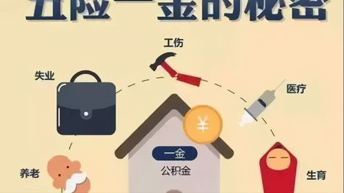 五险一金基本概念与构成