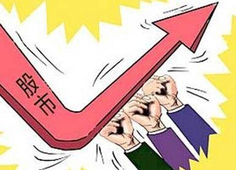 肾脏的市场价值与非法交易真相