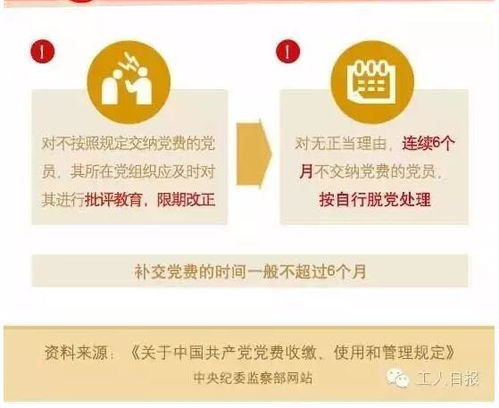 党费的基本概念与重要性