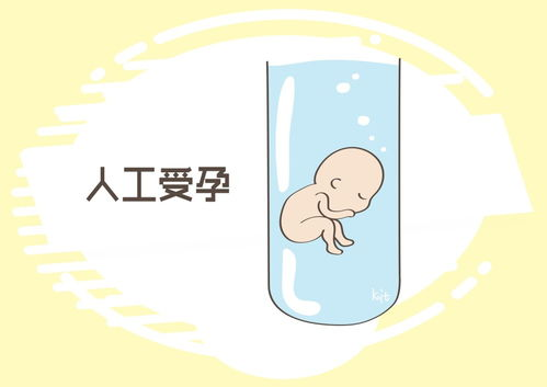 人工受孕的基本概念与价格范围