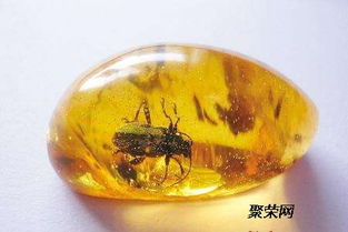 琥珀市场价格概述