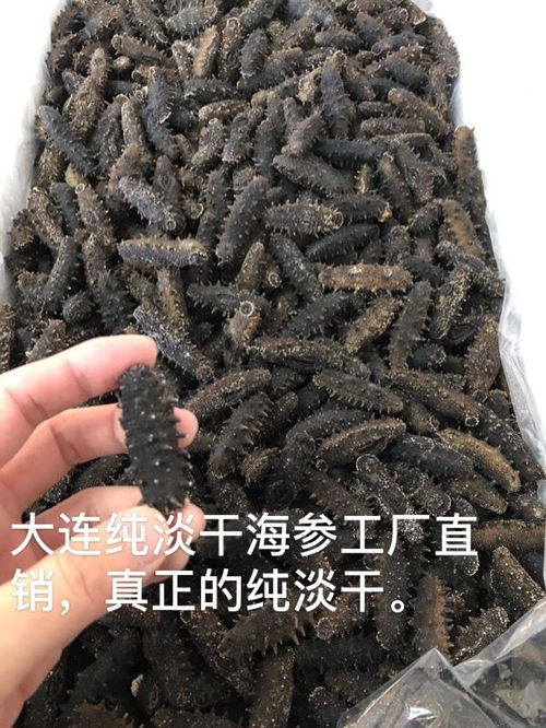 干海参市场价格概览