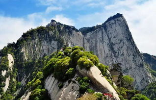 华山门票价格与基本构成