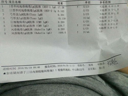 弓形虫检查的基本价格范围