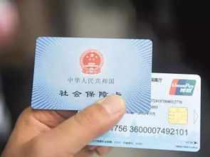 社保缴费的基本构成