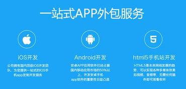 app开发成本概述