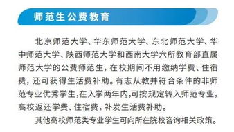三胎政策背景与补助概述