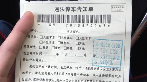 违章停车罚款的基本标准与规定