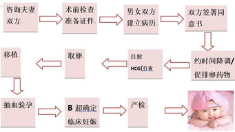 人工受孕的基本概念与流程