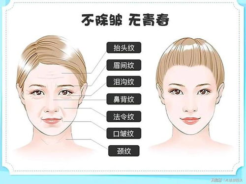 除皱针价格构成与市场现状