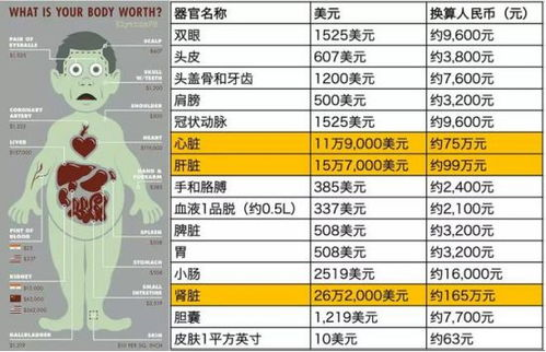 肾脏交易黑市价格揭秘