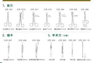 漏斗胸手术费用概述与基本构成