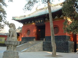 少林寺门票基本信息