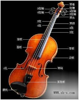 小提琴价格概述
