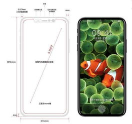 iPhone 8市场现状与价格概述