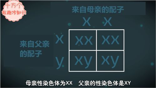 DNA亲子鉴定基础价格解析