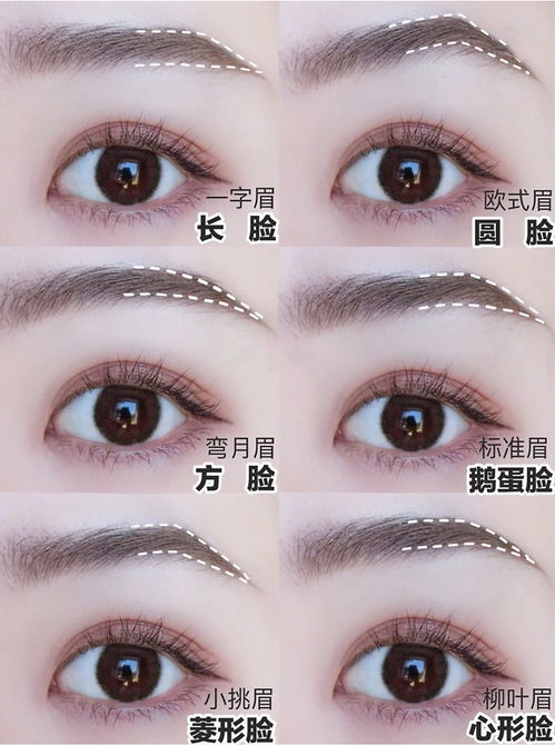 秀眉价格构成与基本收费标准