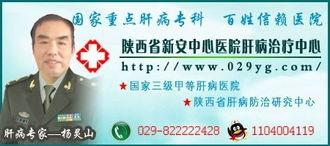 肝病治疗费用的基本构成