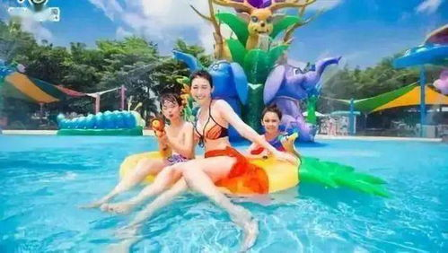 长隆水上乐园门票价格概览