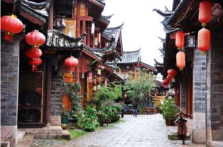 丽江旅游基本预算构成