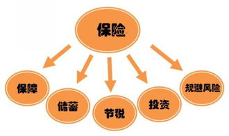 保险费用的基本构成与计算原理