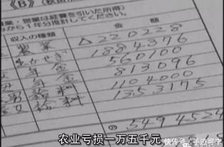 一年多少钱：基础生活开支分析