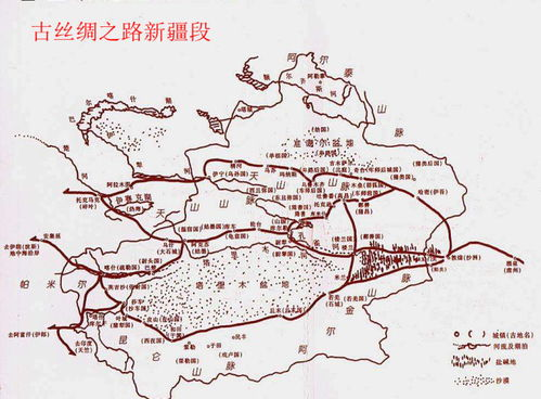 新疆旅游总体预算概览