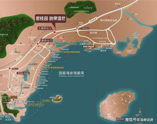 《岛》基本信息与市场定位