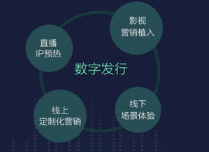 照片价格的多样性：从个人纪念到商业价值