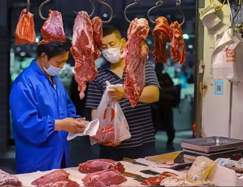 当前肉类市场价格概况