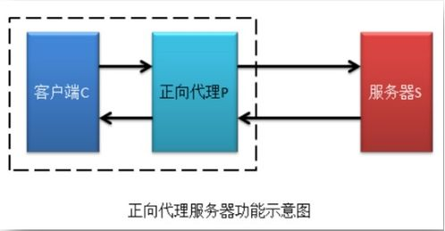代理服务价格概述