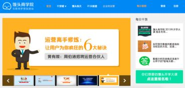 卡盟自助网站的运作模式与生存之道