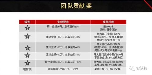 卡盟麒麟的运作模式与市场定位