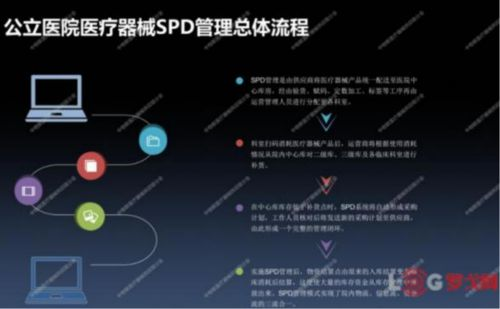 宁波游戏开发的崛起:政策与机遇的双重驱动