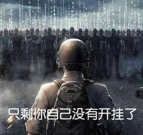 绝地求生DMZ卡盟的真相揭秘