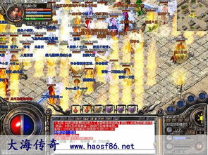 传奇新开私服,重温经典与独特游戏体验解析