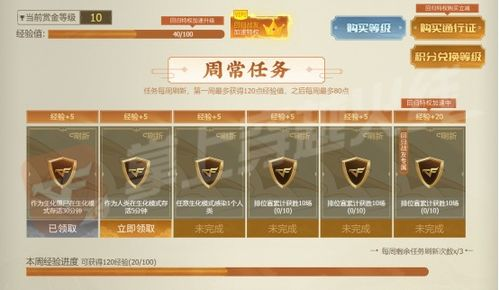 新开传奇发布网的市场定位与核心价值