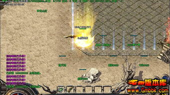 刚开一秒传奇私服,游戏体验与选择指南