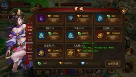 热血传奇手游私服的定义与特点