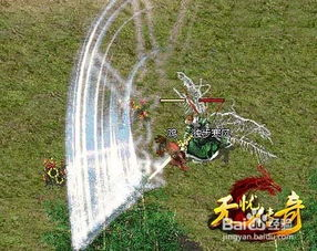 新开网通传奇的魅力与特点