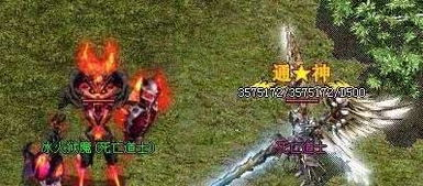 新开私服传奇的魅力与特点