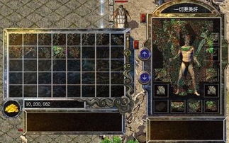 jjj传奇私服,怀旧游戏体验与风险解析-全面指南