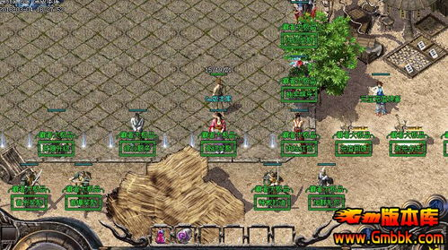 新开超变传奇私服,打造独特游戏体验与运营策略