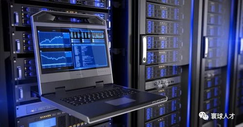 网通传奇新开服务器,经典复古与创新的完美结合-全面解析与选择指南